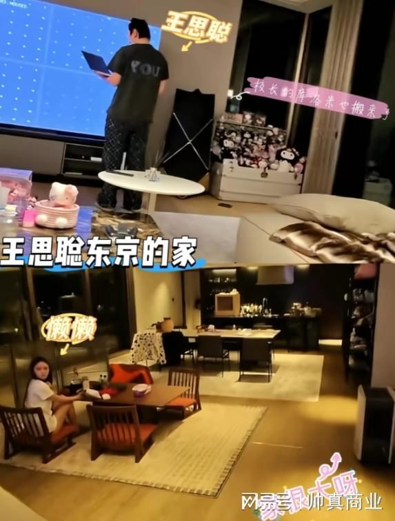 逆势双车登台!吉利中国星车队TCR世界巡回赛法国站领跑积分榜
